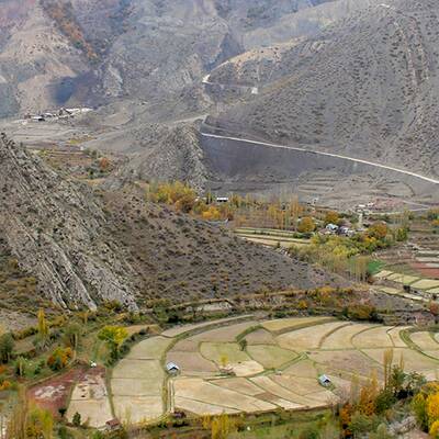 عقابی که شما را به آغوش می‌کشد
